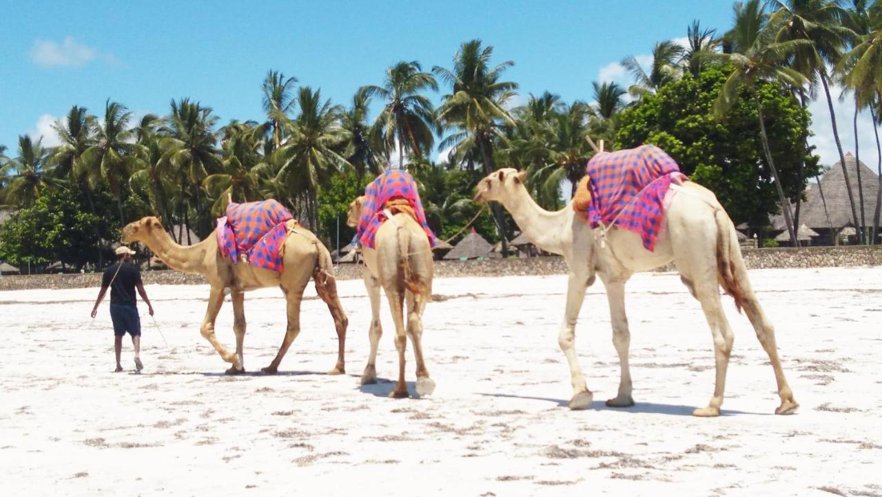 Galu Gardens Apartments Diani Beach Buitenkant foto